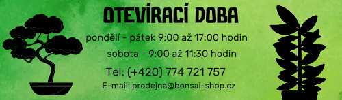 Bonsai shop otevírací doba