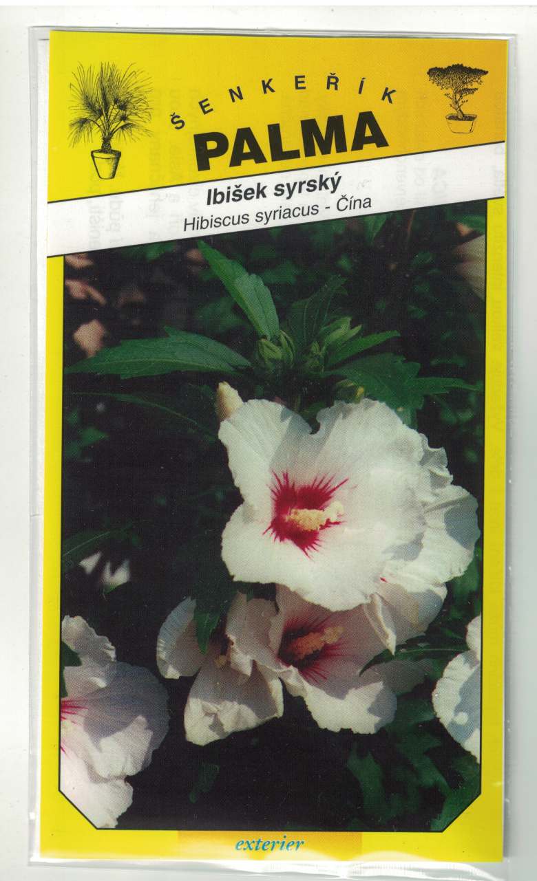 Ibišek syrský červenobílý – Hibiscus syriacus