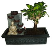  Ficus retusa - fíkovník - bonsaj 787 - fontána funkční součástí čerpadýlko