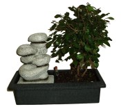 Zelkova 801 - pokojové bonsaje - fontána funkční součástí čerpadýlko