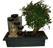 Zelkova 801 - pokojové bonsaje - fontána funkční součástí čerpadýlko