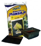 Kompletní sada na vypěstování Punica granatum