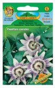 Mučenka Pnoucí - Passiflora caerulea