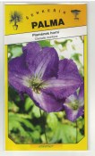 Plamének horní modrofialový - Clematis montana