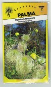 Plamének tangutský, žlutý – Clematis tangutica