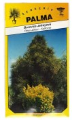 Semena Borovice Jefreyova - Pinus Jefreyi
