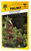 Semena Borovice rumelská - Pinus peuce