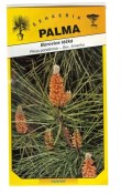 Semena Borovice těžká - Pinus ponderosa