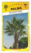 Semena Washingtonia filifera - Washingtonie vláknitá