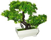 Umělá bonsai 4