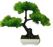 Umělá bonsai 5