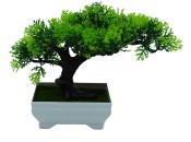 Umělá bonsai 8