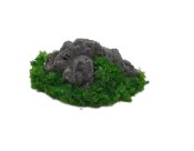 Zen garden Z121 - Skála