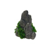 Zen garden Z122 - Skála